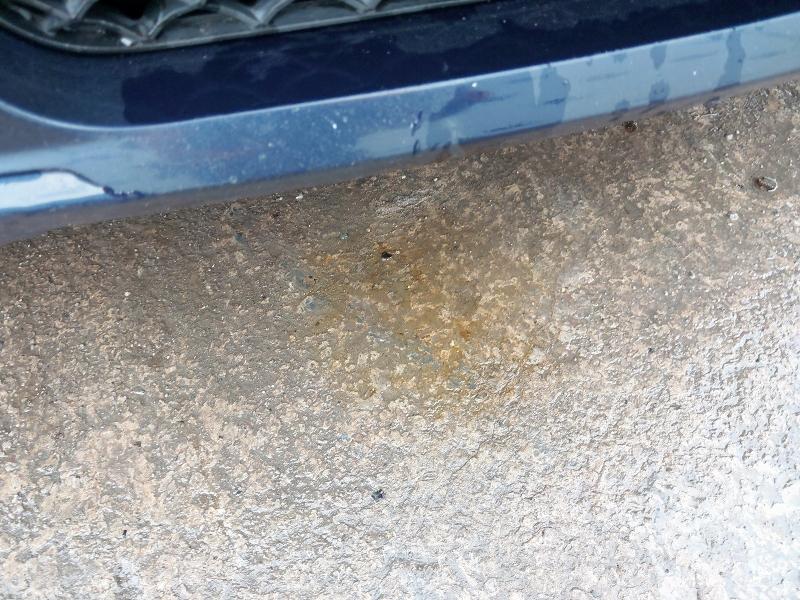 2013 MERCEDES-BENZ E CLASS E250 CDI BLUEEFFICIENCY SE 4DR TIP AUTO [7]