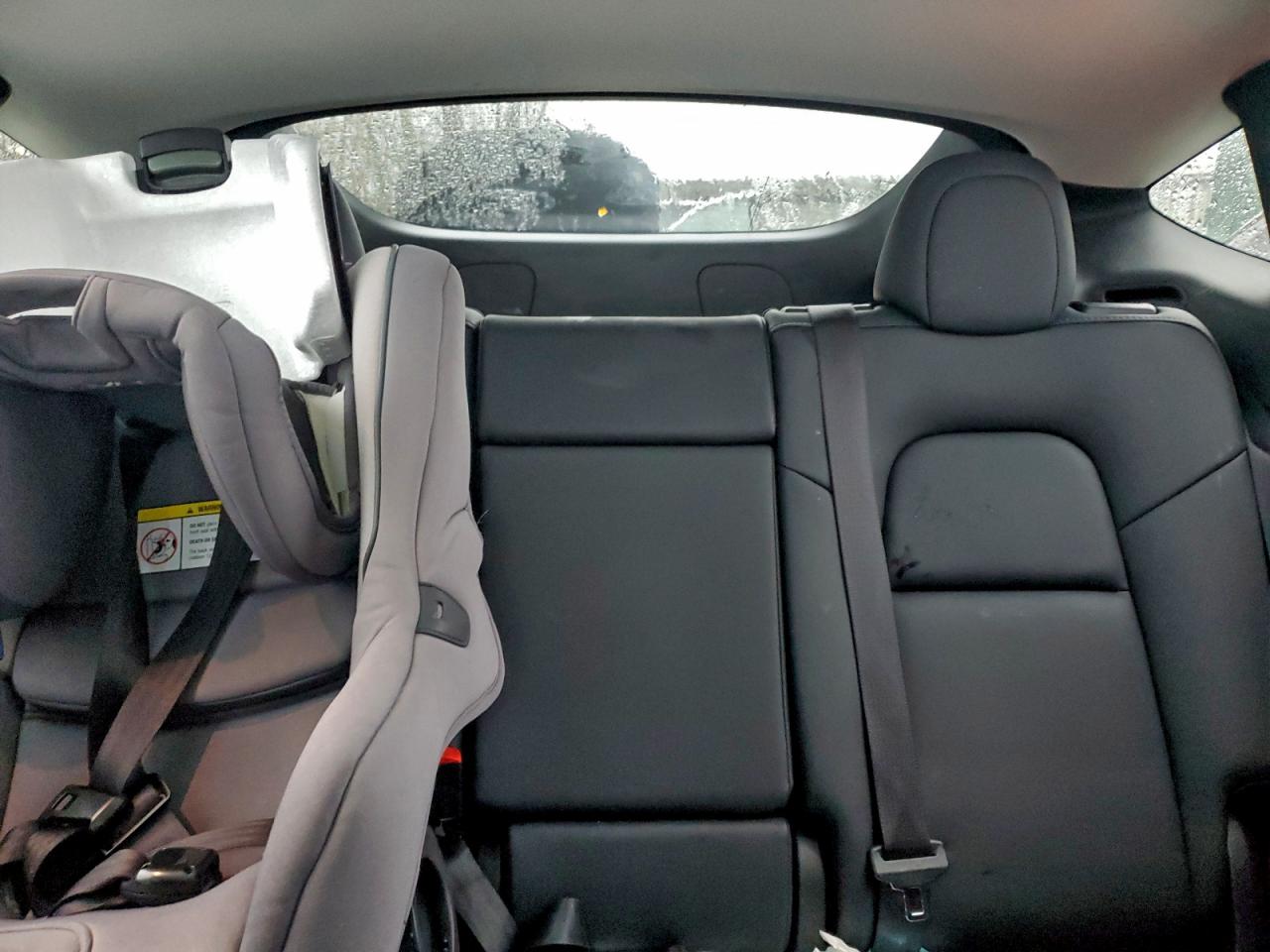 2023 Tesla Model Y VIN: 7SAYGDEE2PF647072 Lot: 96142445