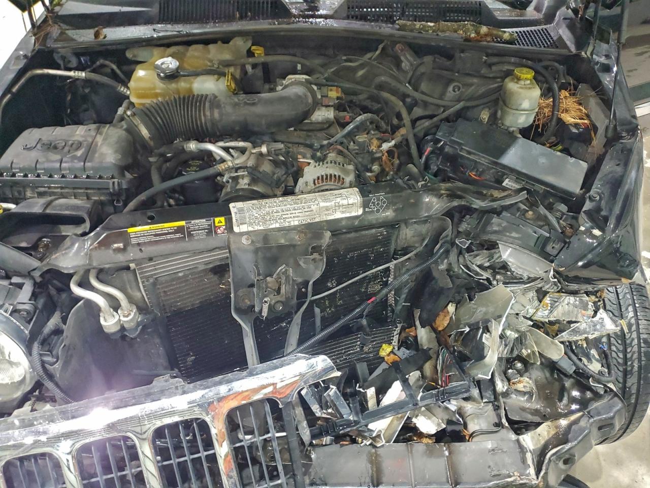 2006 Jeep Liberty Limited VIN: 1J8GL58K16W101572 Lot: 93750565