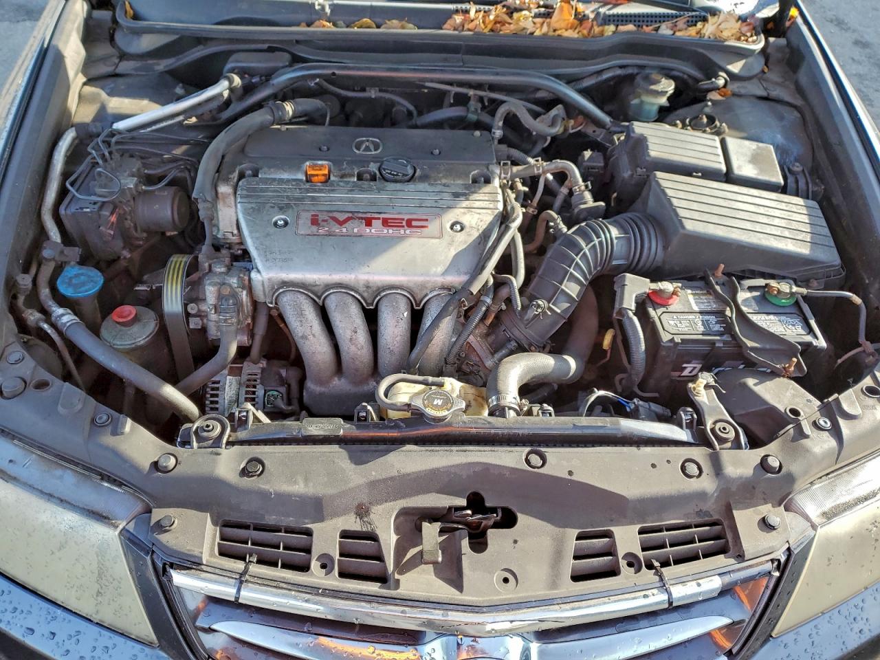 2006 Acura Tsx VIN: JH4CL96946C038559 Lot: 95074475