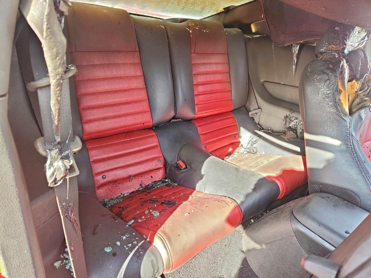 2009 Ford Mustang Gt VIN: 1ZVHT82H695105327 Lot: 97520165