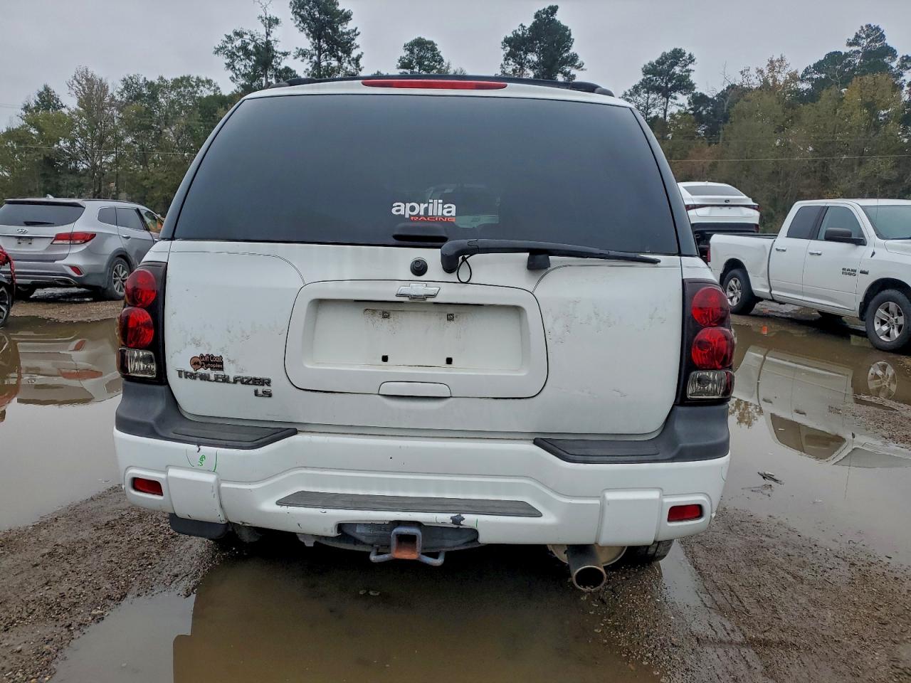 2008 Chevrolet Trailblazer Ls VIN: 1GNDS13S282209343 Lot: 94571125