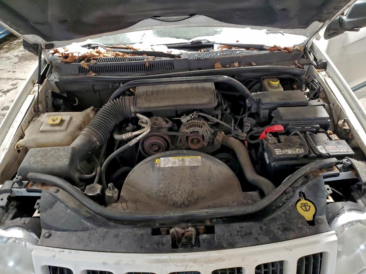 2009 Jeep Grand Cherokee Laredo VIN: 1J8GR48K99C533812 Lot: 95832295