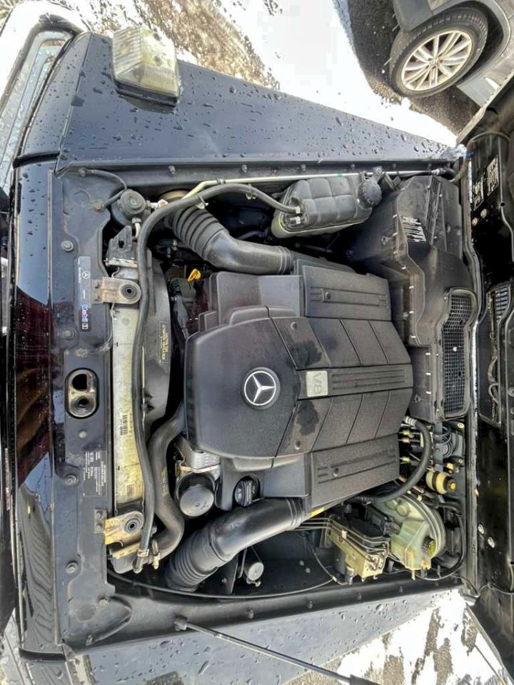 Фото: WDCYR49E27X167650