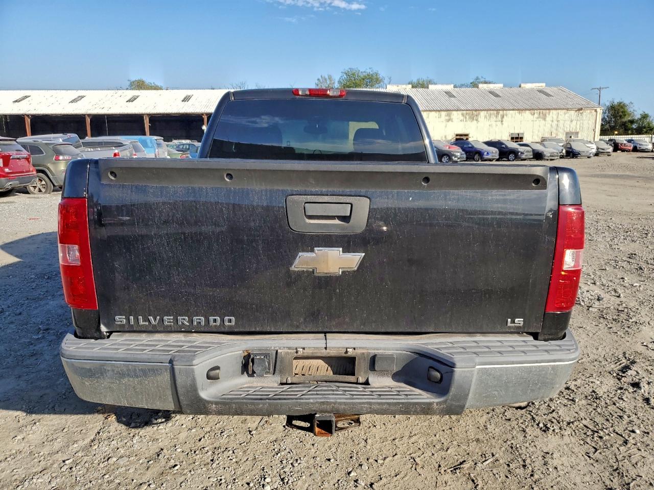 2009 Chevrolet Silverado C1500 VIN: 1GCEC19X49Z176433 Lot: 96818015