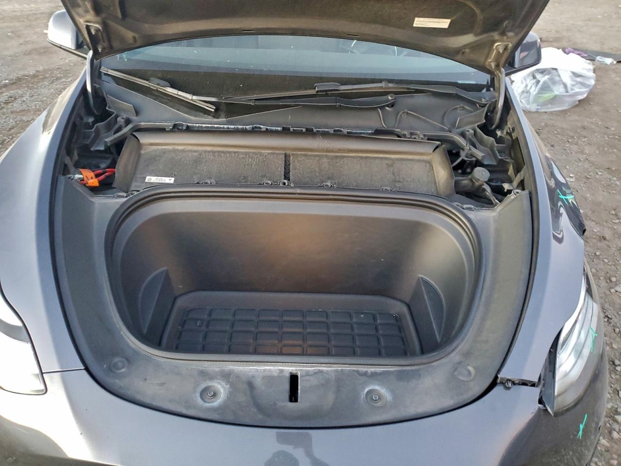 2023 Tesla Model Y VIN: 7SAYGDEE4PA086080 Lot: 93741155