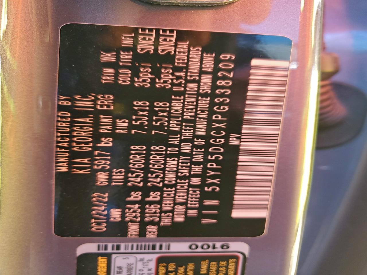 2023 Kia Telluride Sx VIN: 5XYP5DGCXPG338209 Lot: 94556525