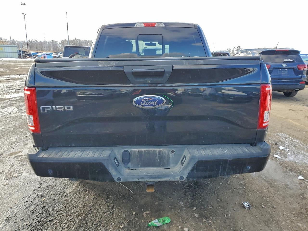 2016 Ford F150 Supercrew VIN: 1FTEW1EP6GFC33159 Lot: 95859255