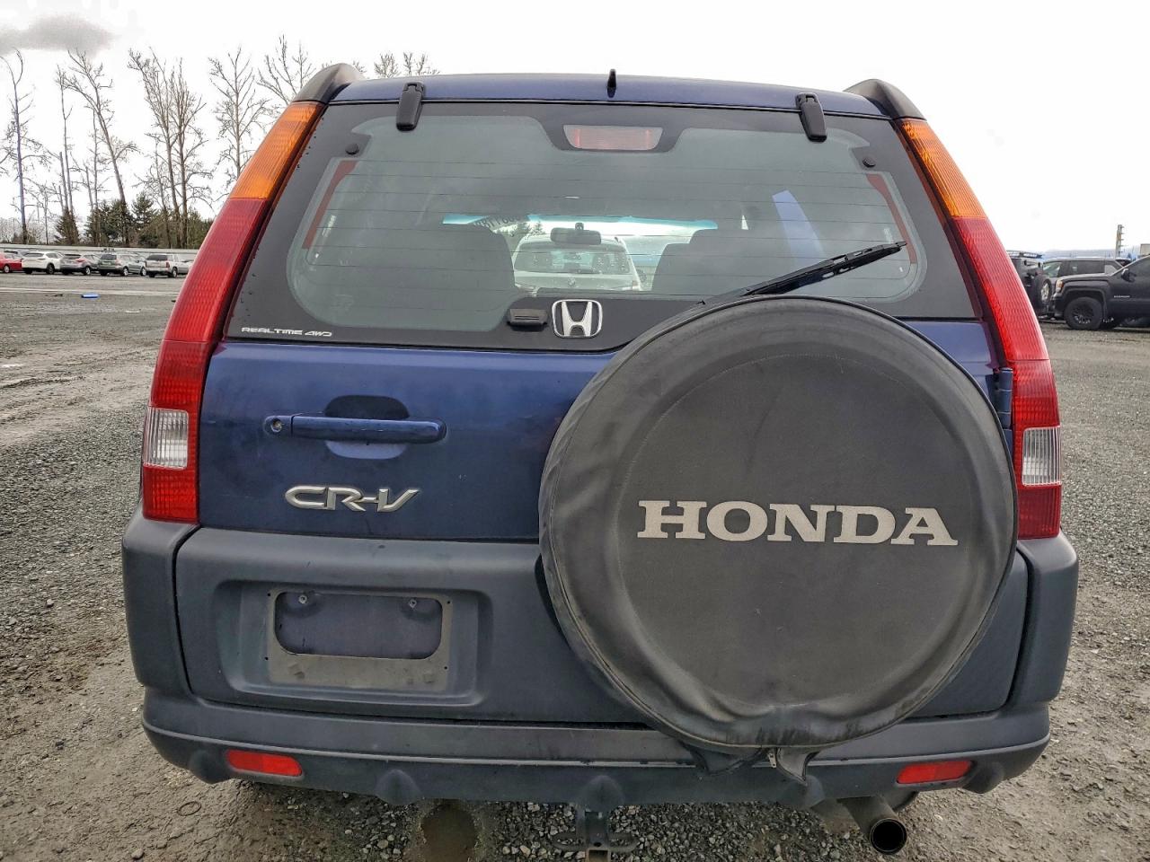 2003 Honda Cr-V Lx VIN: JHLRD78493C021334 Lot: 96811885