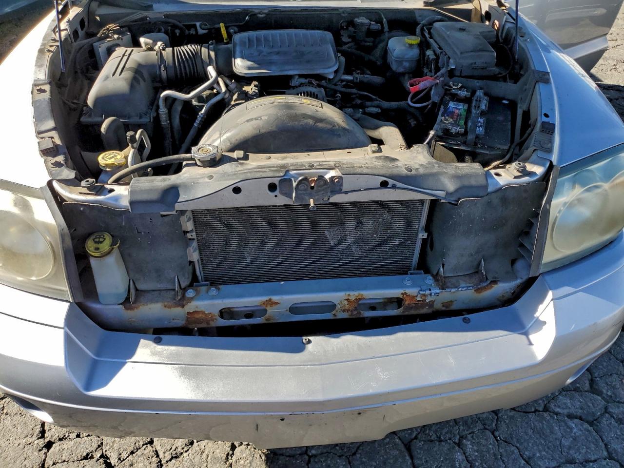 2006 Dodge Dakota Quad Slt VIN: 1D7HE48K96S542069 Lot: 97039745