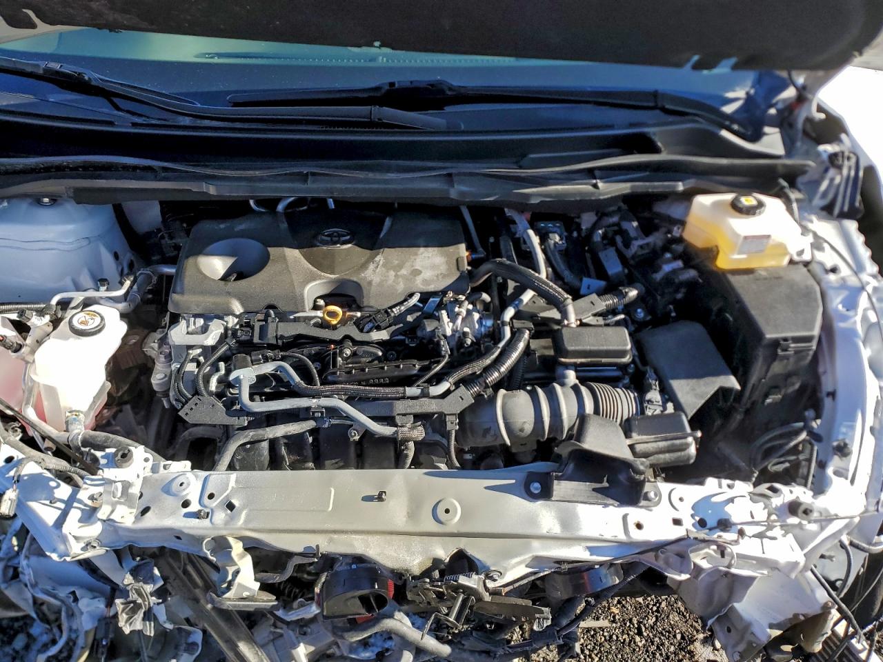 2024 Toyota Sienna Xle VIN: 5TDYRKECXRS206704 Lot: 97091725