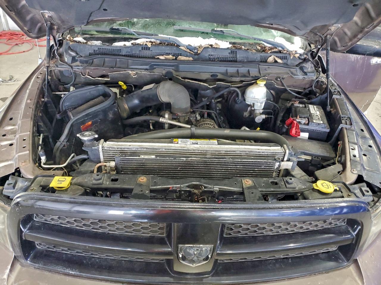 2010 Dodge Ram 1500 VIN: 1D7RV1CT6AS161887 Lot: 96810655