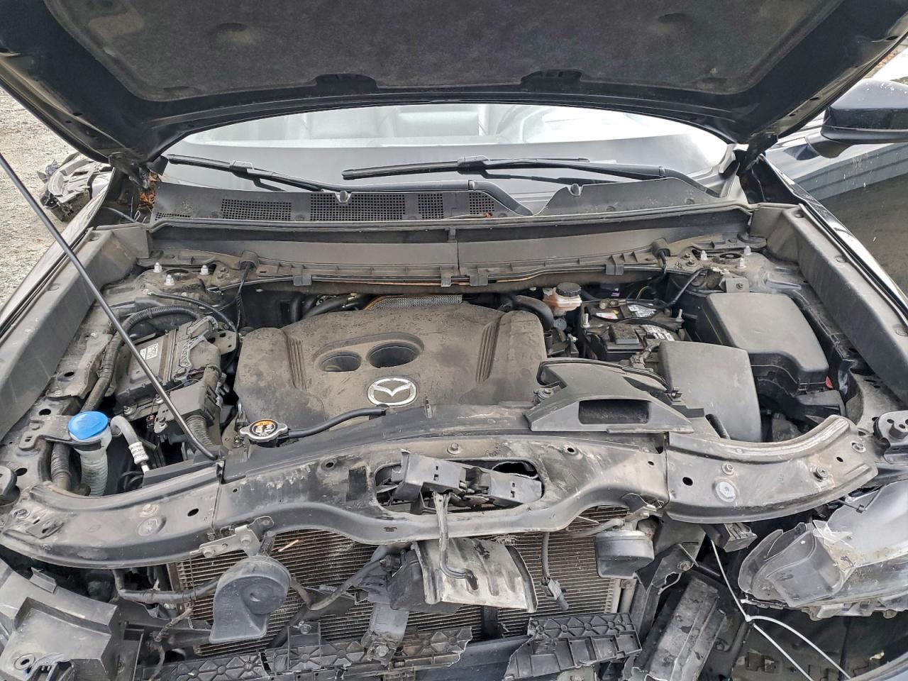 2016 Mazda Cx-9 Signature VIN: JM3TCBEY7G0117526 Lot: 94908115