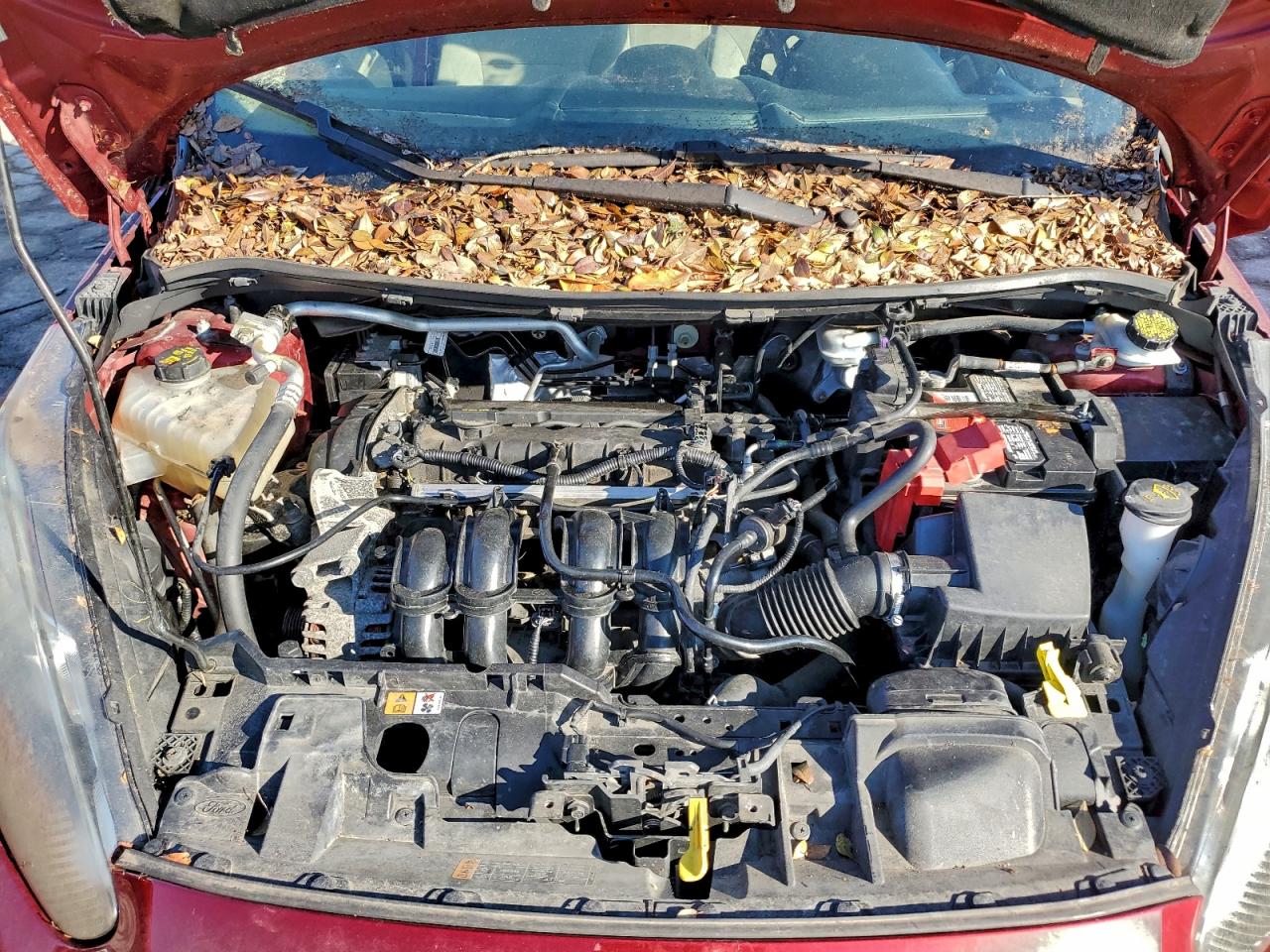 2014 Ford Fiesta Se VIN: 3FADP4BJ4EM234906 Lot: 96063815