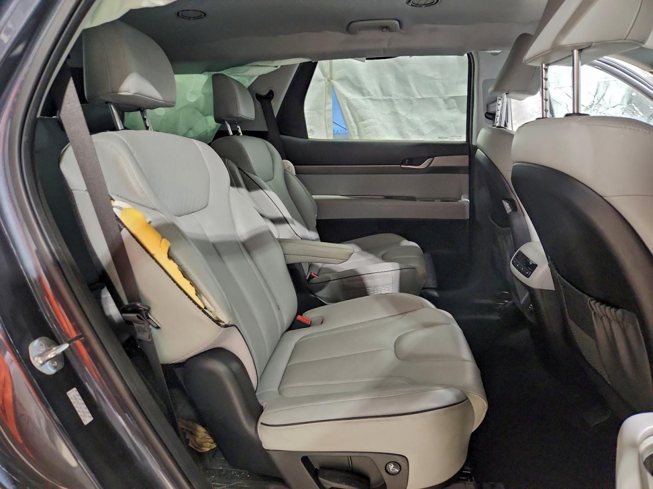 2024 Hyundai Palisade Sel VIN: KM8R24GE7RU788562 Lot: 97104505