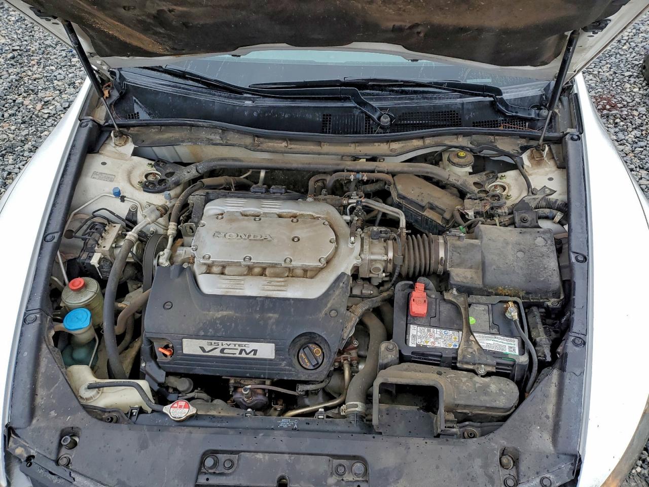 2011 Honda Accord Exl VIN: 1HGCS2B84BA006596 Lot: 94915795