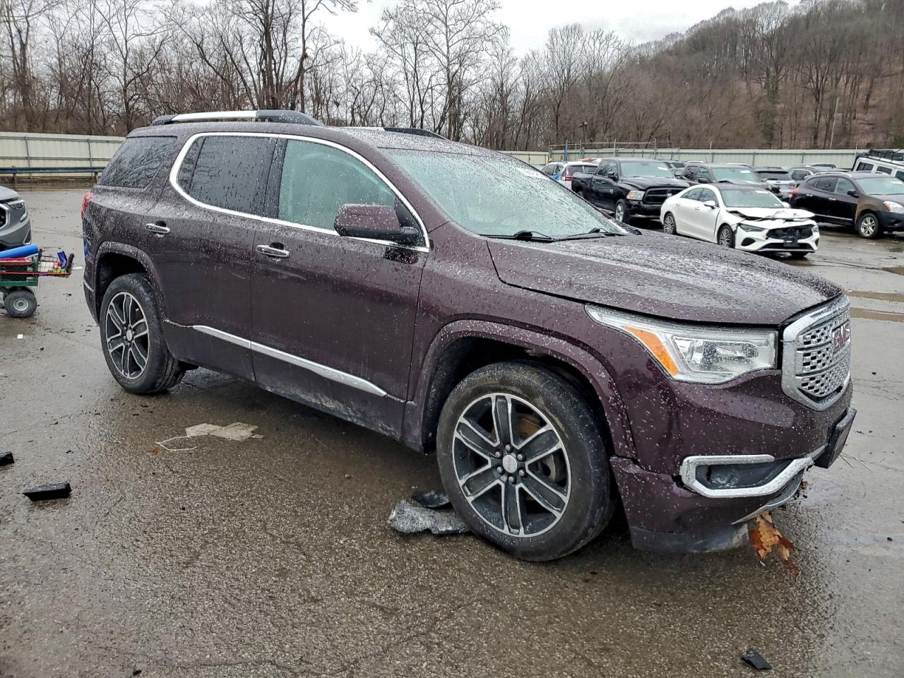 2017 GMC Acadia Denali VIN: 1GKKNXLS5HZ307529 Lot: 96646465