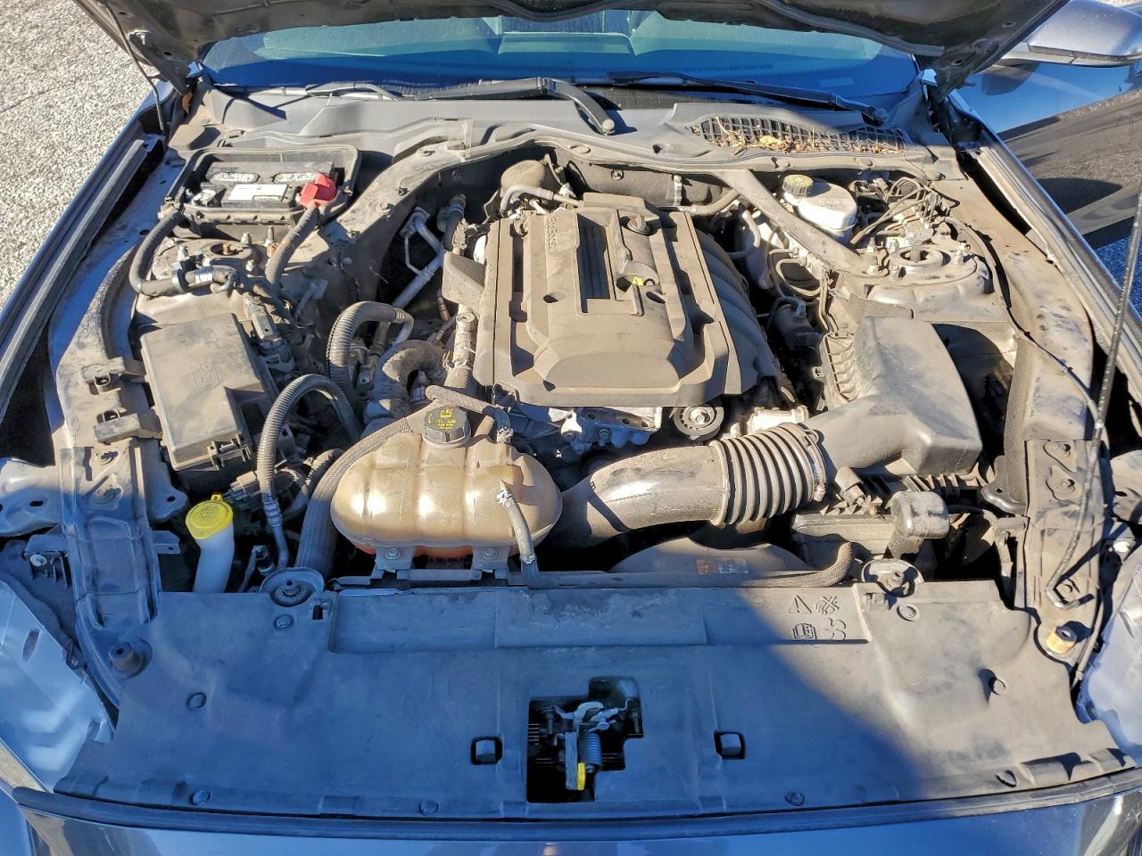 2018 Ford Mustang VIN: 1FATP8UH6J5142631 Lot: 95108725