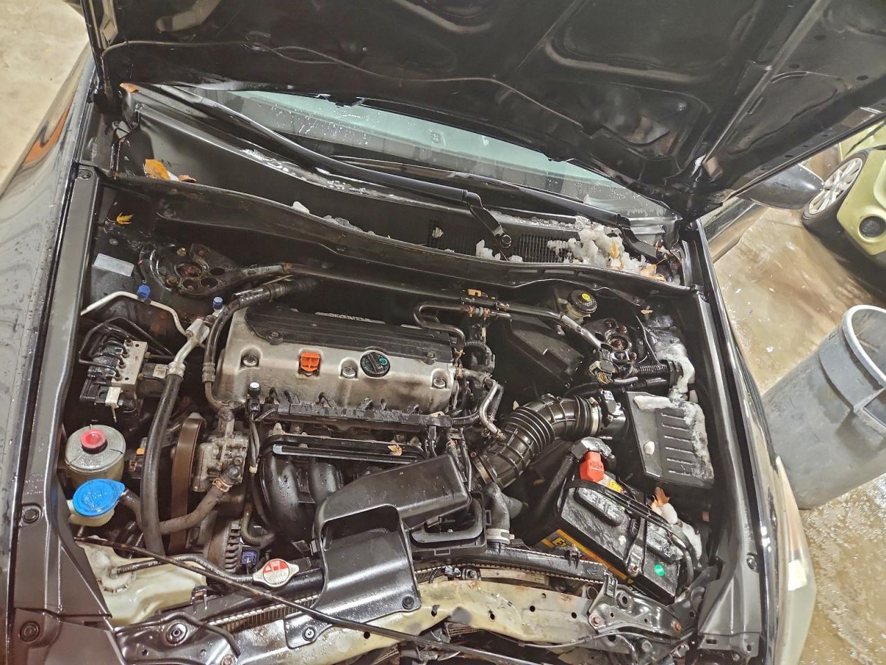 2010 Honda Accord Exl VIN: 1HGCP2F82AA055886 Lot: 94928255