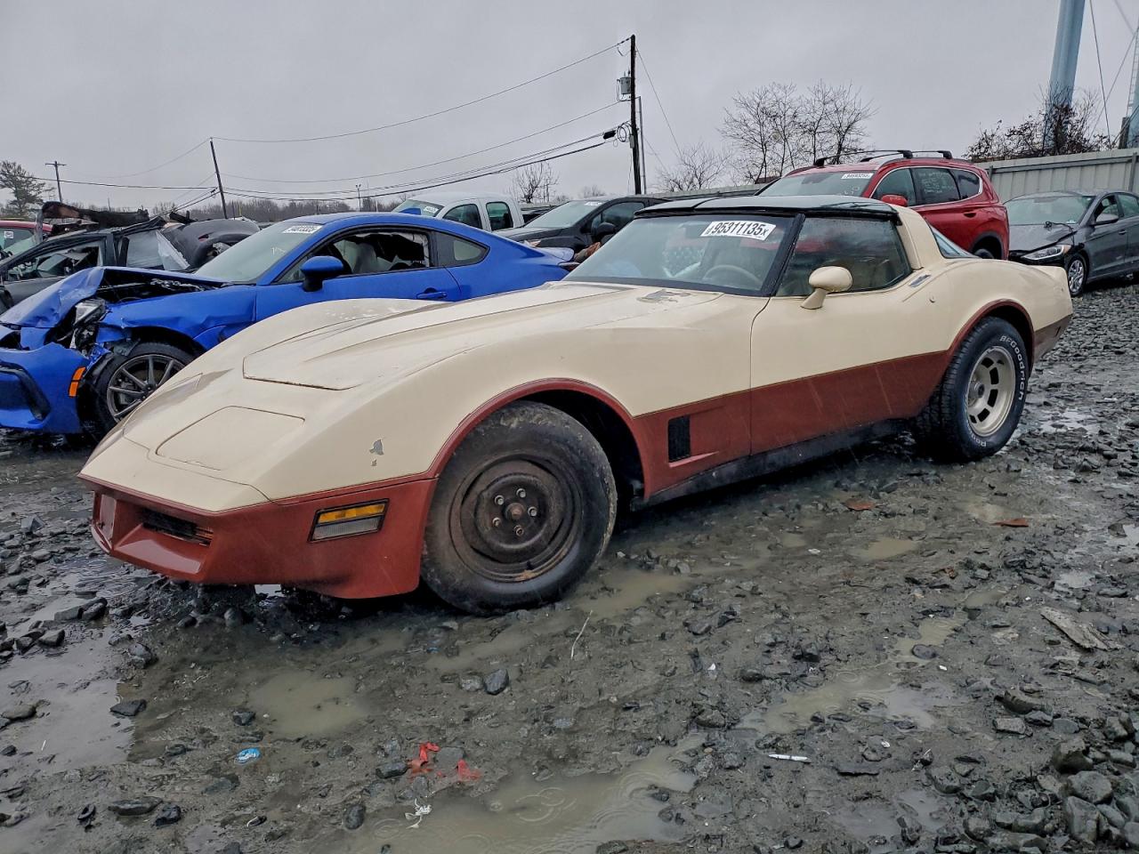 1981 Chevrolet Corvette