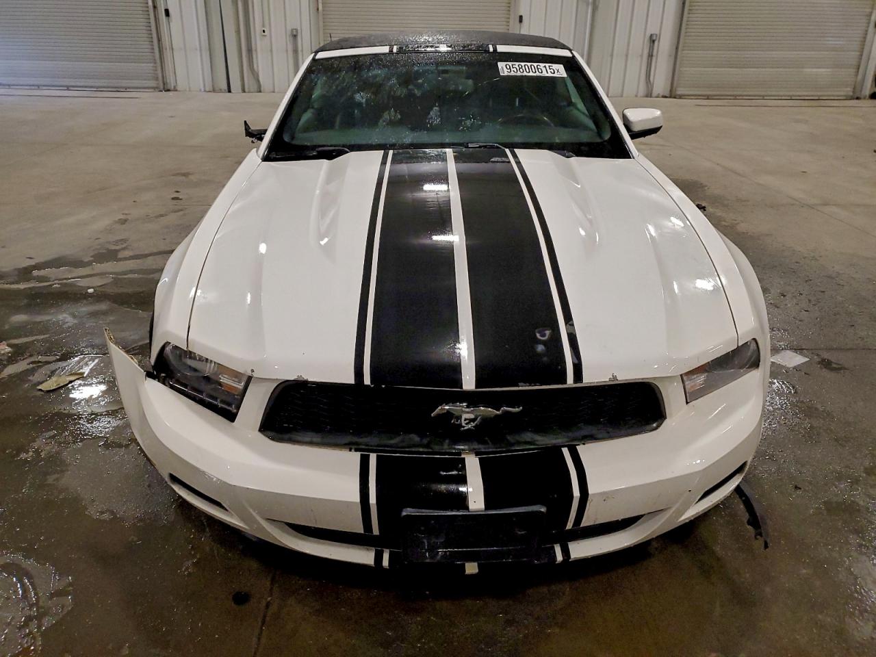 2012 Ford Mustang VIN: 1ZVBP8EM9C5203861 Lot: 95800615