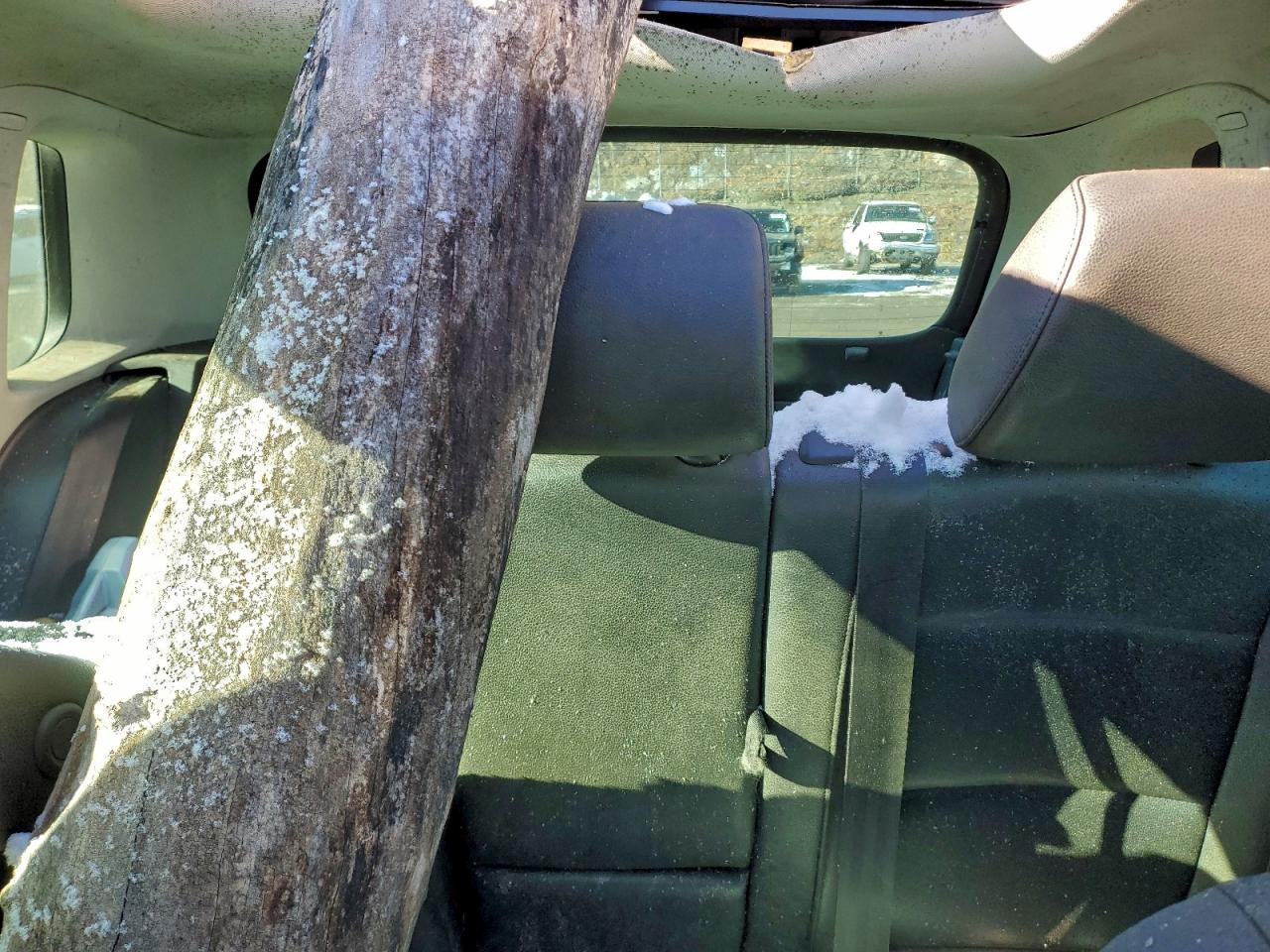 2013 Volkswagen Tiguan S VIN: WVGBV3AX9DW076127 Lot: 95407465