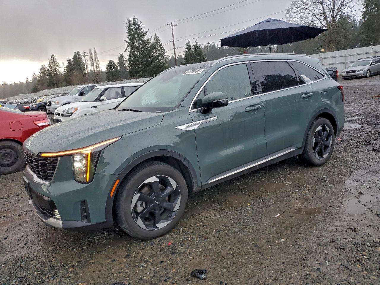 2025 Kia Sorento Ex VIN: KNDRHDJG1S5286899 Lot: 97619705