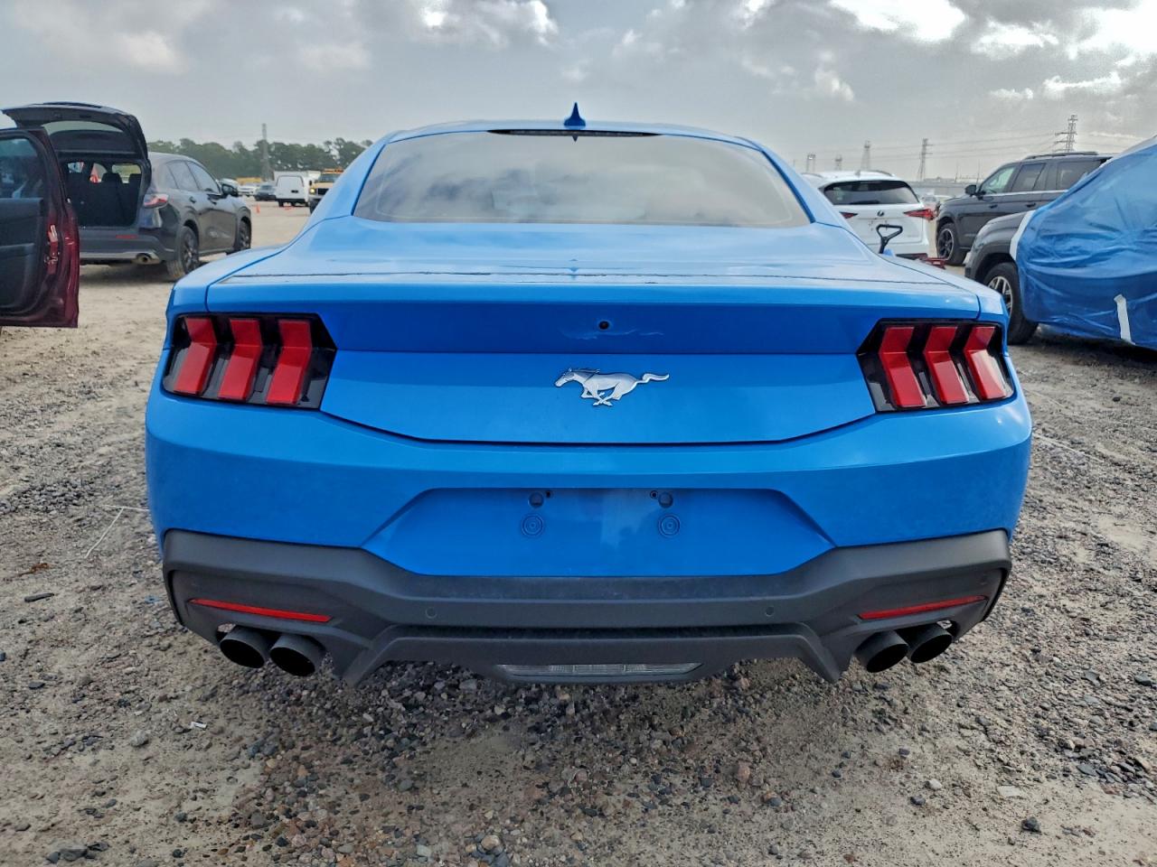 2024 Ford Mustang VIN: 1FA6P8TH7R5119482 Lot: 96484895