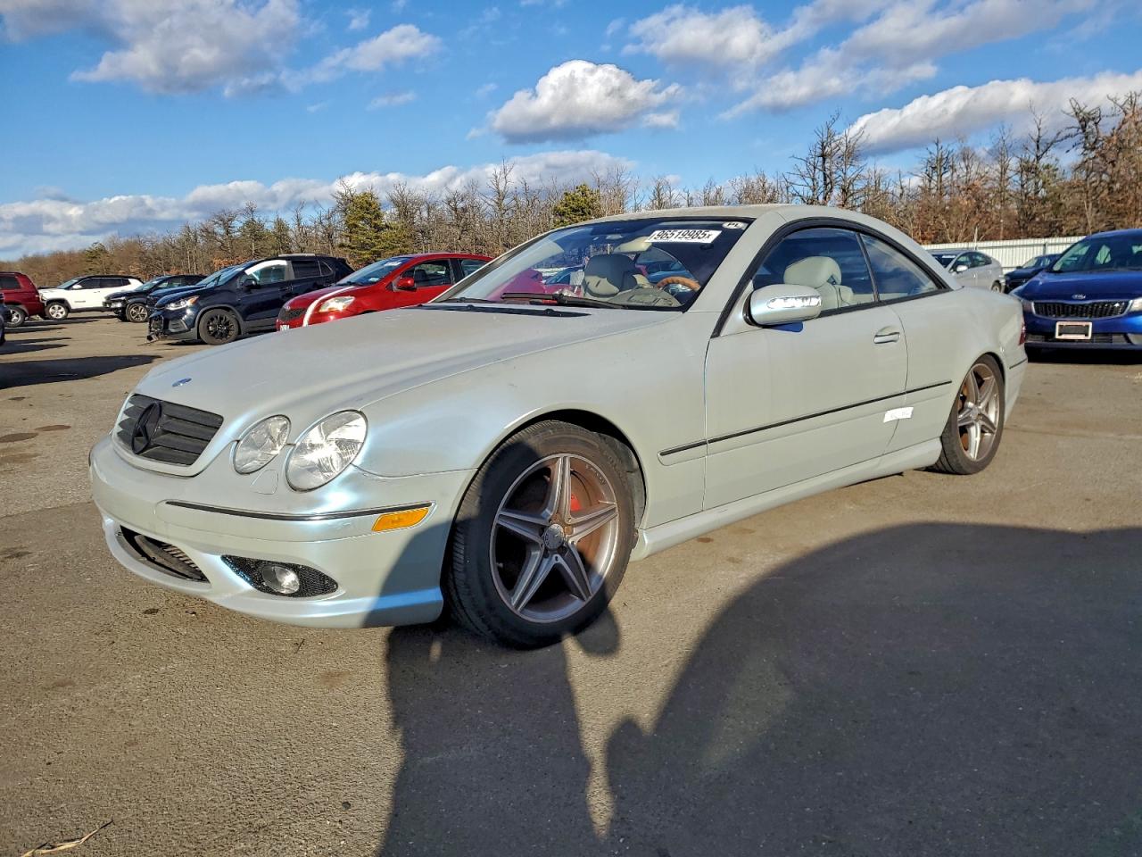 2005 Mercedes-Benz Cl 500 VIN: WDBPJ75J55A044517 Lot: 96519985