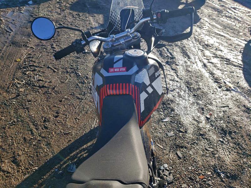 2024 DUCATI DESERT X   