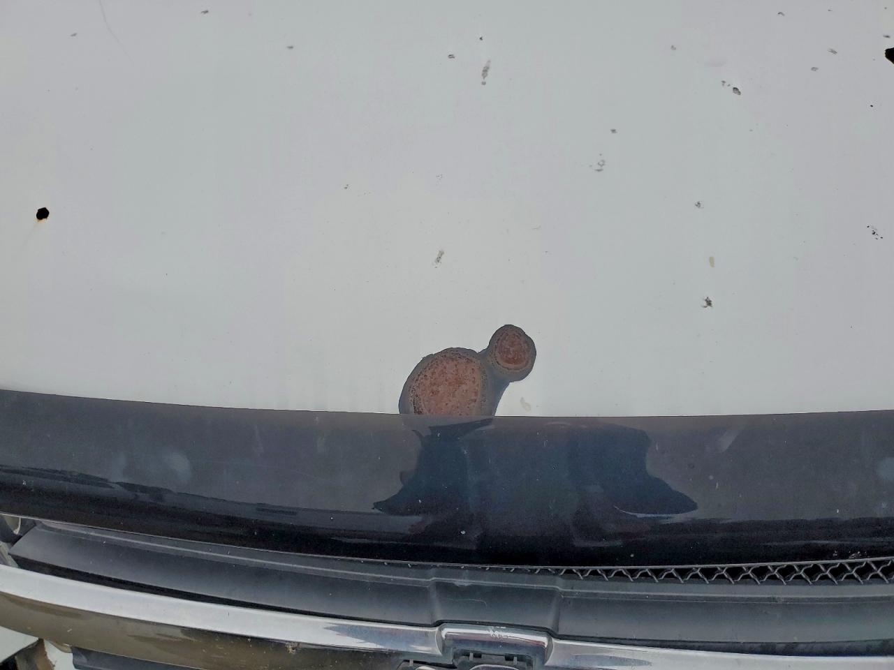 2008 Chevrolet Trailblazer Ls VIN: 1GNDS13S282209343 Lot: 94571125