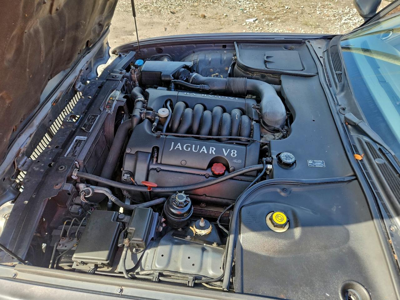 2001 Jaguar Xj8 VIN: SAJDA14C11LF30863 Lot: 96585325