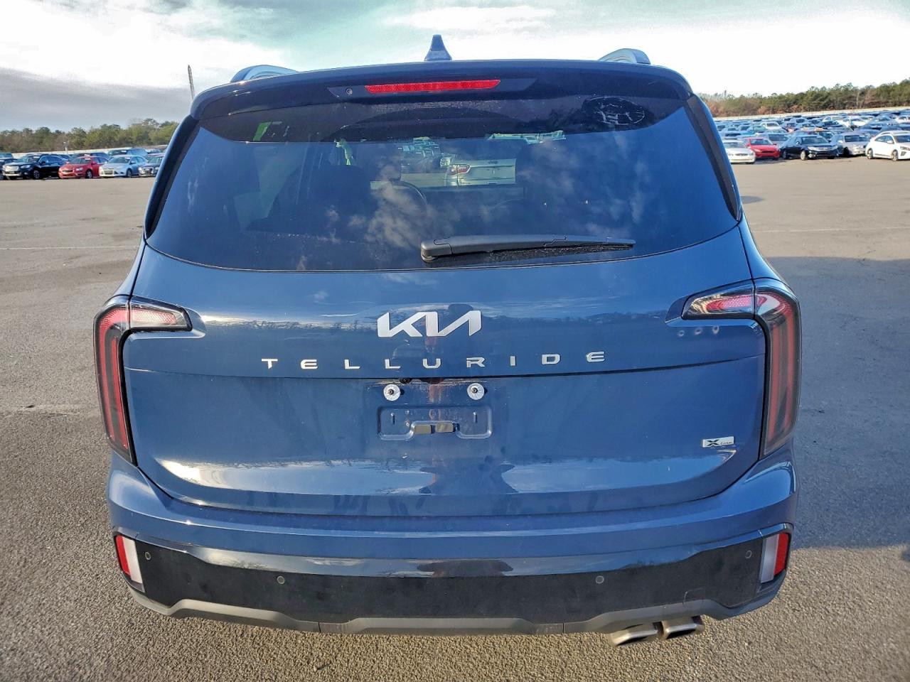 2024 Kia Telluride Sx VIN: 5XYP5DGC8RG534734 Lot: 95488145