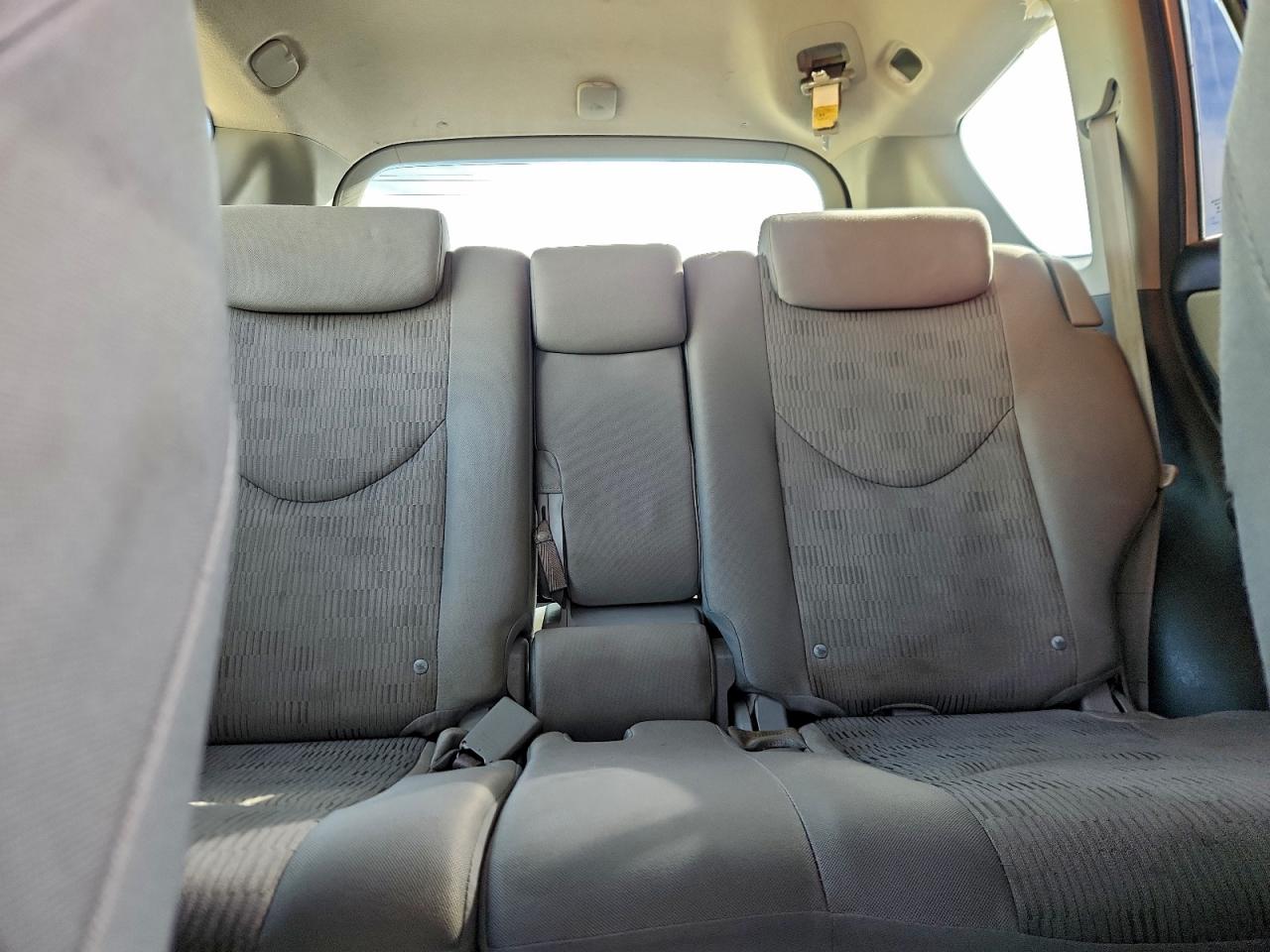 2009 Toyota Rav4 VIN: JTMBF33V39D013167 Lot: 95172745