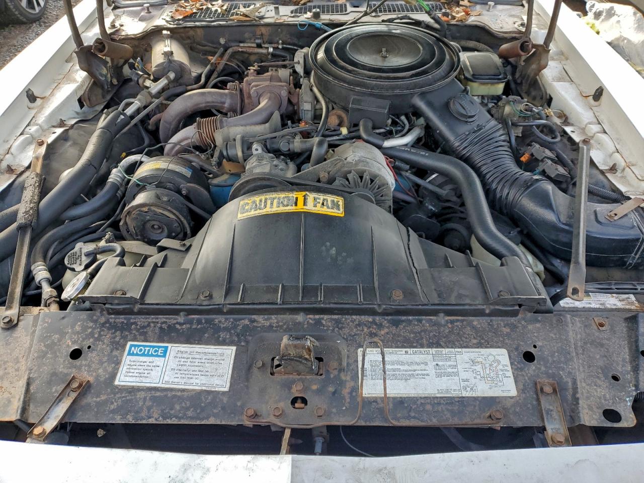 1981 Pontiac Firebird Se VIN: 1G2AX87T4BN113880 Lot: 96248935