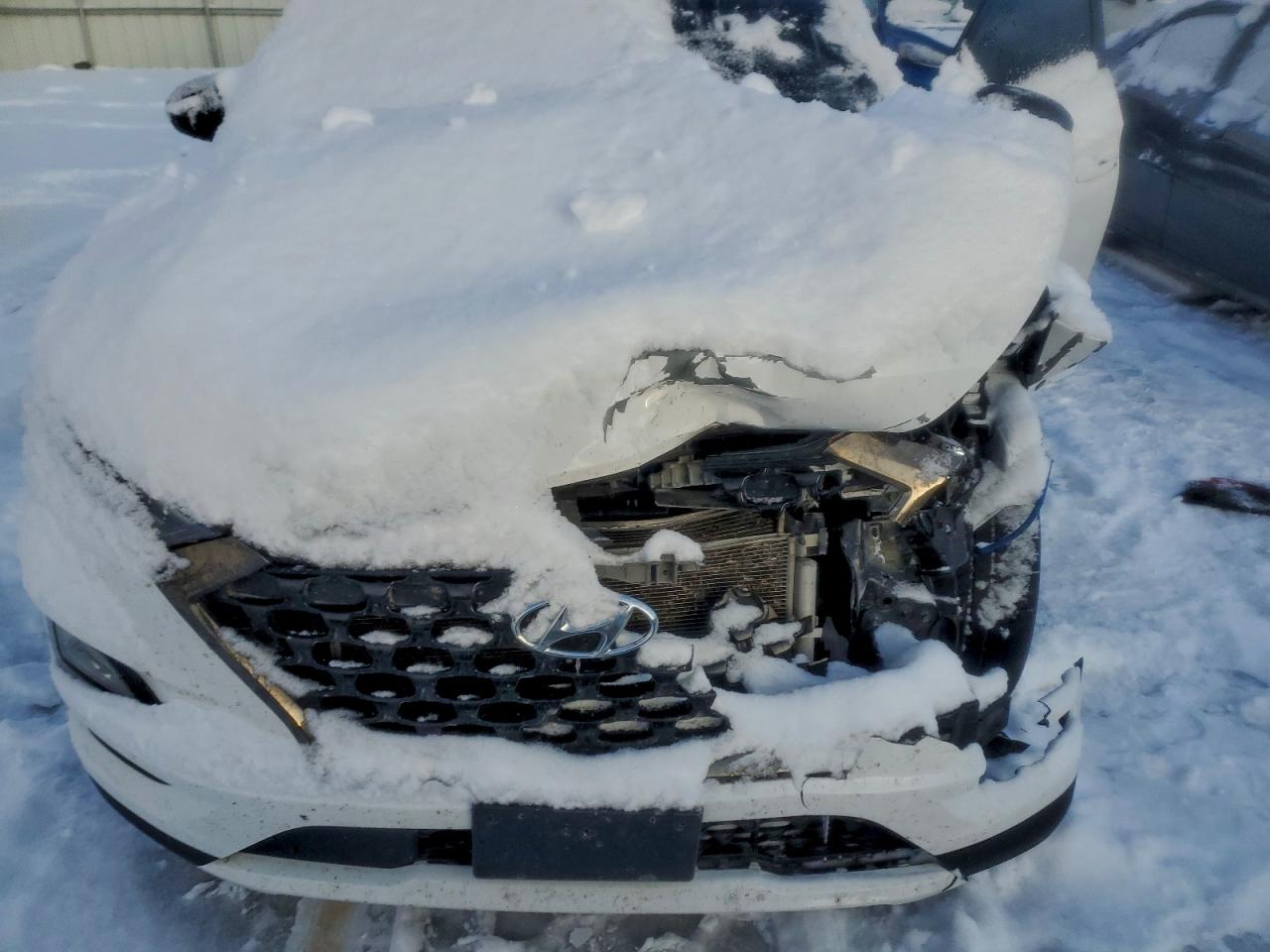 2019 Hyundai Tucson Limited VIN: KM8J33AL6KU973798 Lot: 94259815