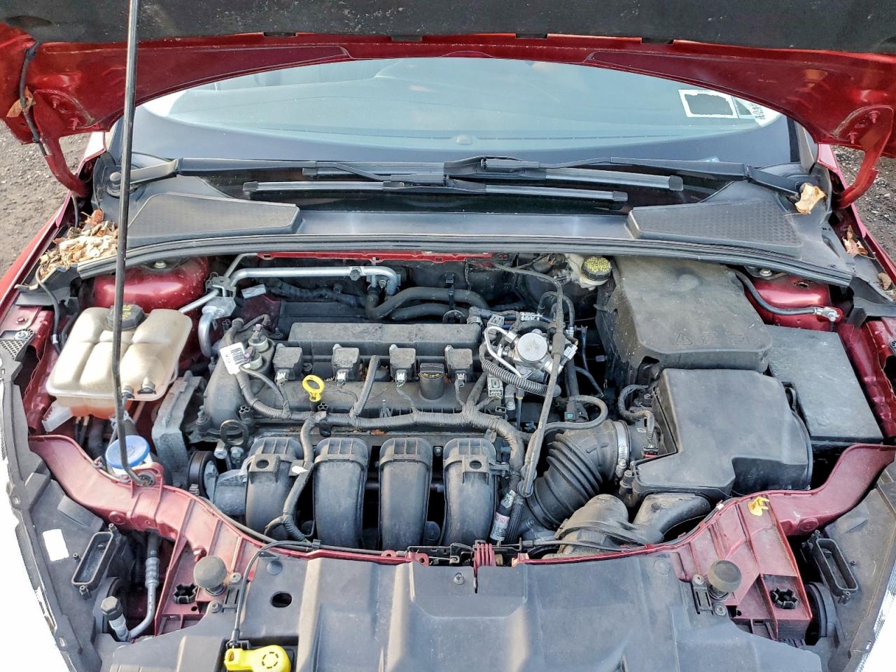 2016 Ford Focus Se VIN: 1FADP3K23GL401165 Lot: 93934705