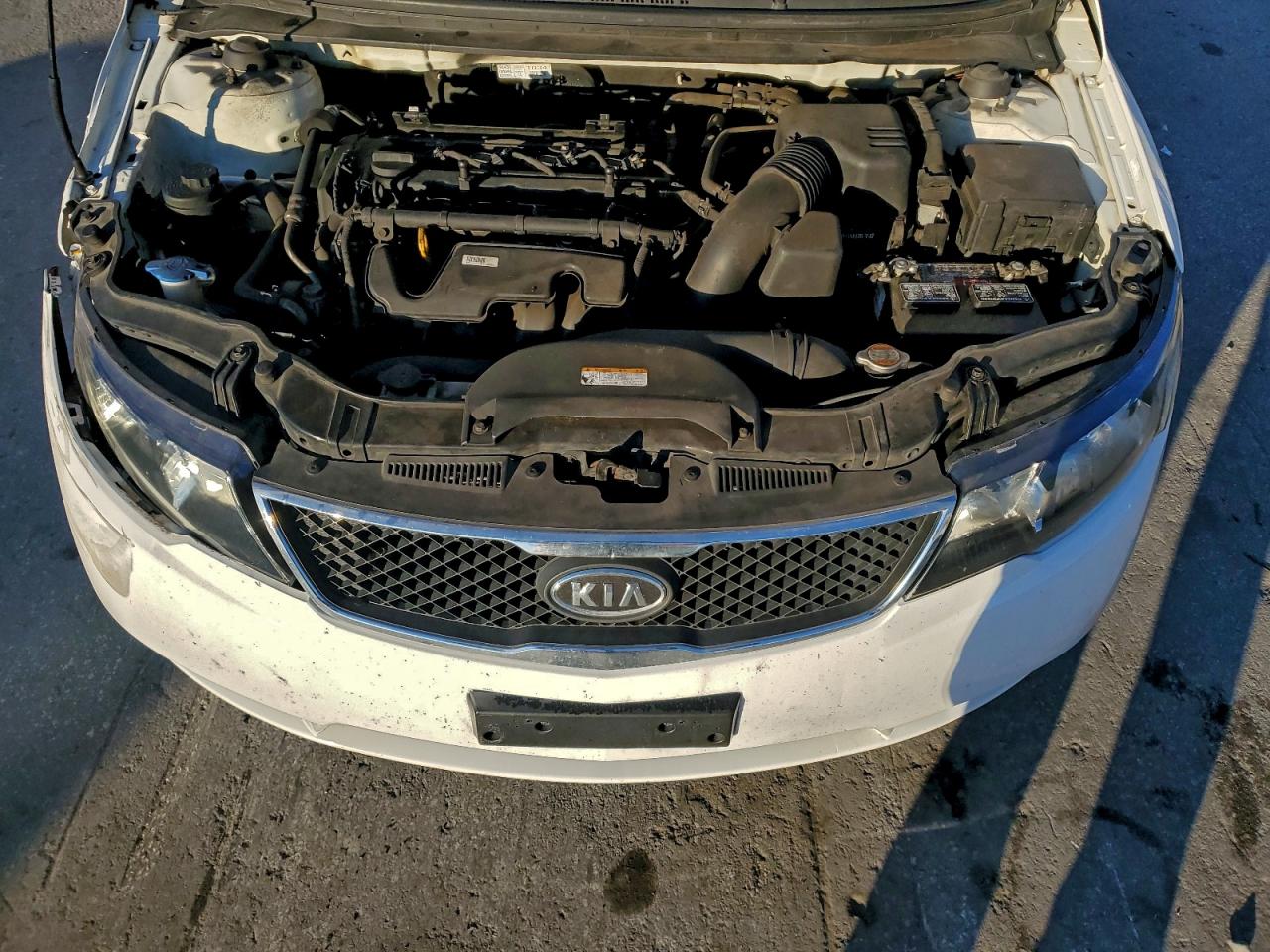 2010 Kia Forte Ex VIN: KNAFU4A28A5241862 Lot: 96377355