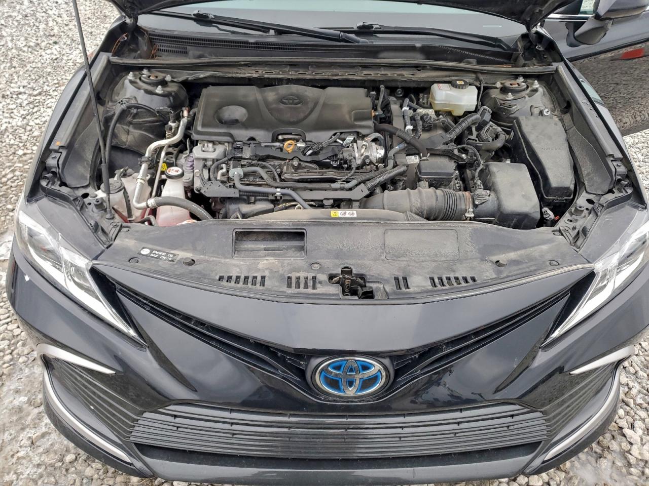 2023 Toyota Camry Le VIN: 4T1C31AK6PU052399 Lot: 96363625