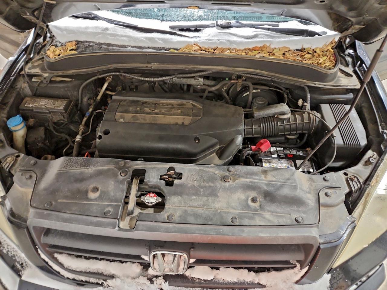 2004 Honda Pilot Exl VIN: 2HKYF18504H002346 Lot: 96054995