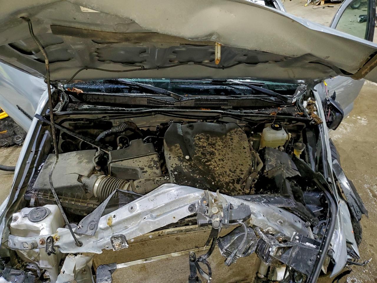 2021 Toyota Tacoma Double Cab VIN: 3TYCZ5AN8MT036570 Lot: 96513435