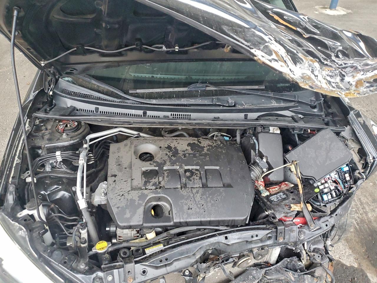 2016 Toyota Corolla L VIN: 5YFBURHE8GP368329 Lot: 95160355