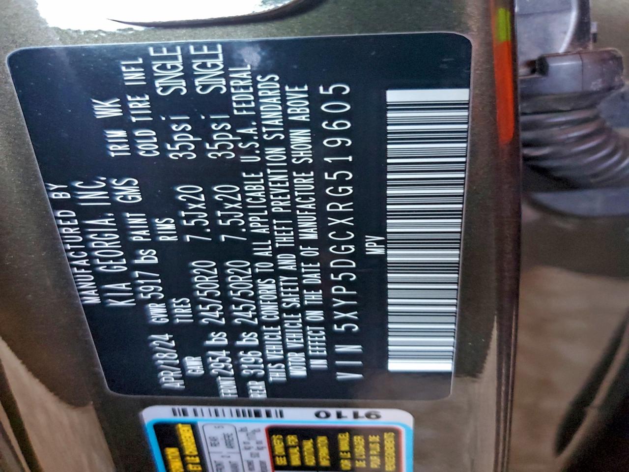 2024 Kia Telluride Sx VIN: 5XYP5DGCXRG519605 Lot: 95146945