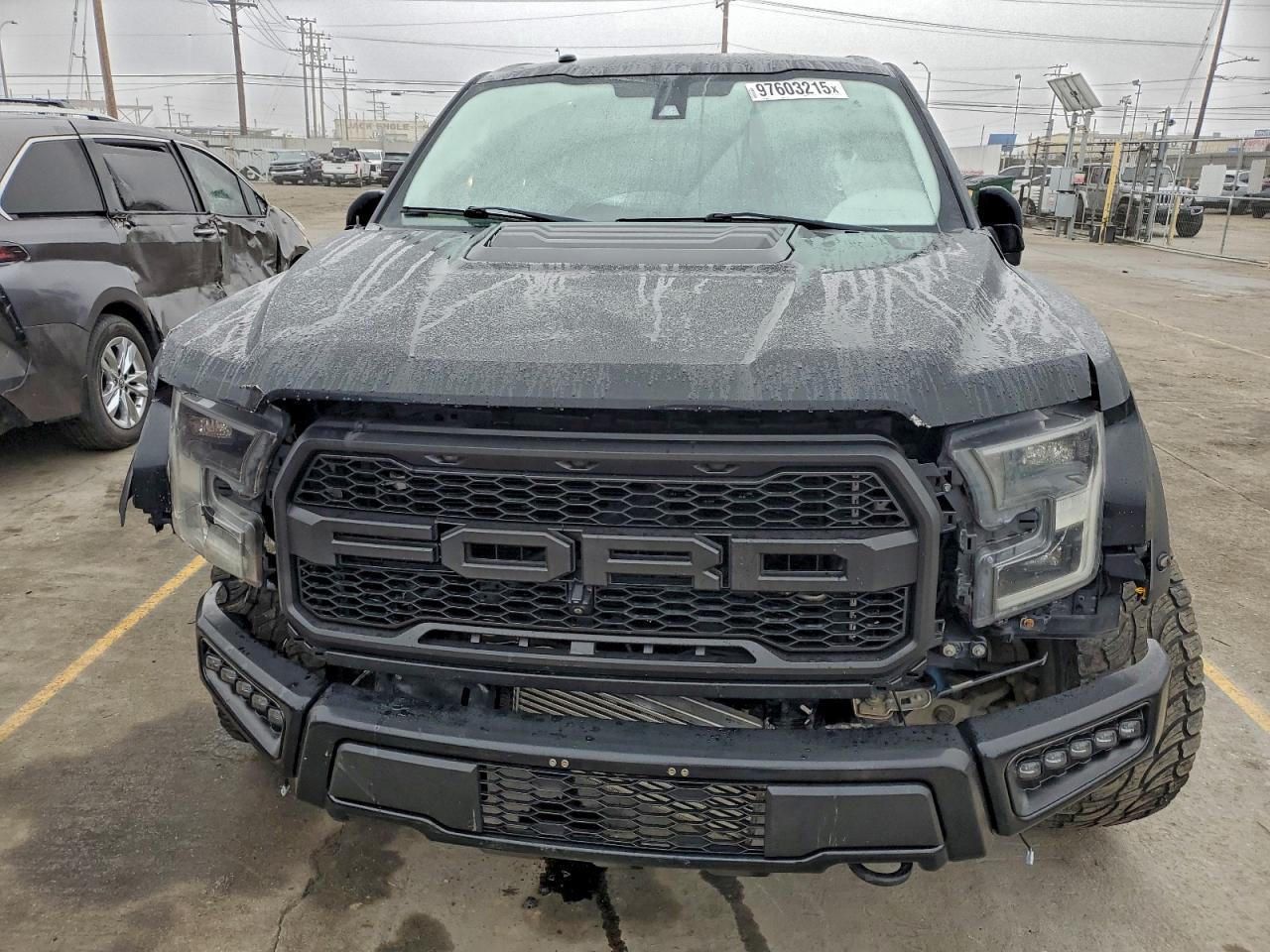 2018 Ford F150 Raptor VIN: 1FTFW1RG1JFA48751 Lot: 97603215