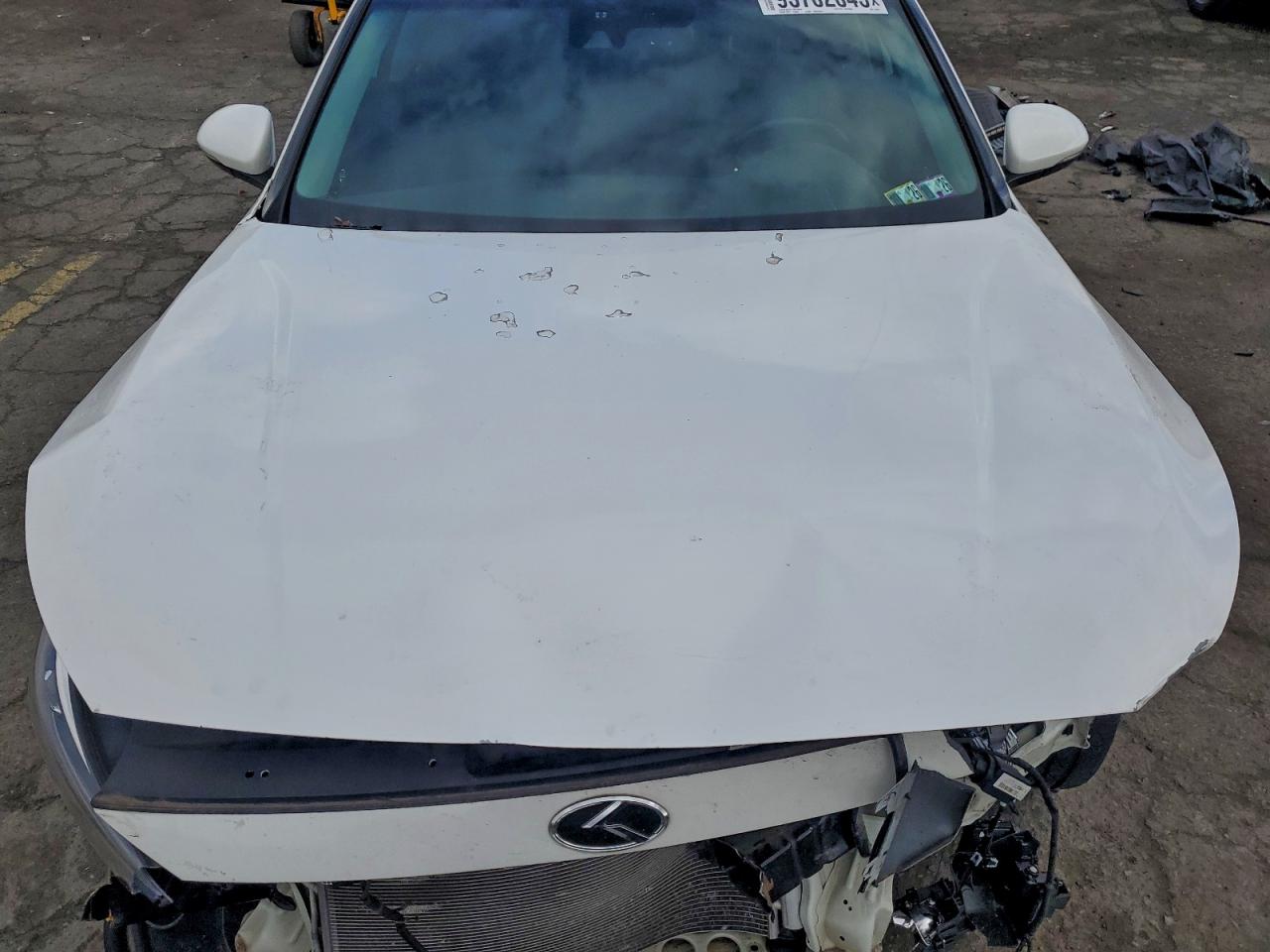 2017 Kia Cadenza Premium VIN: KNALC4J10H5071021 Lot: 95702045