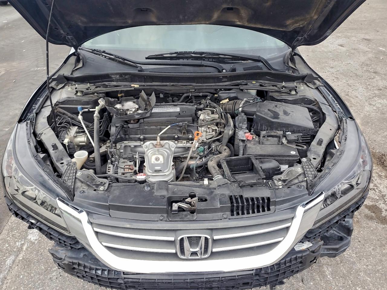 2013 Honda Accord Exl VIN: 1HGCR2F81DA043615 Lot: 94860285