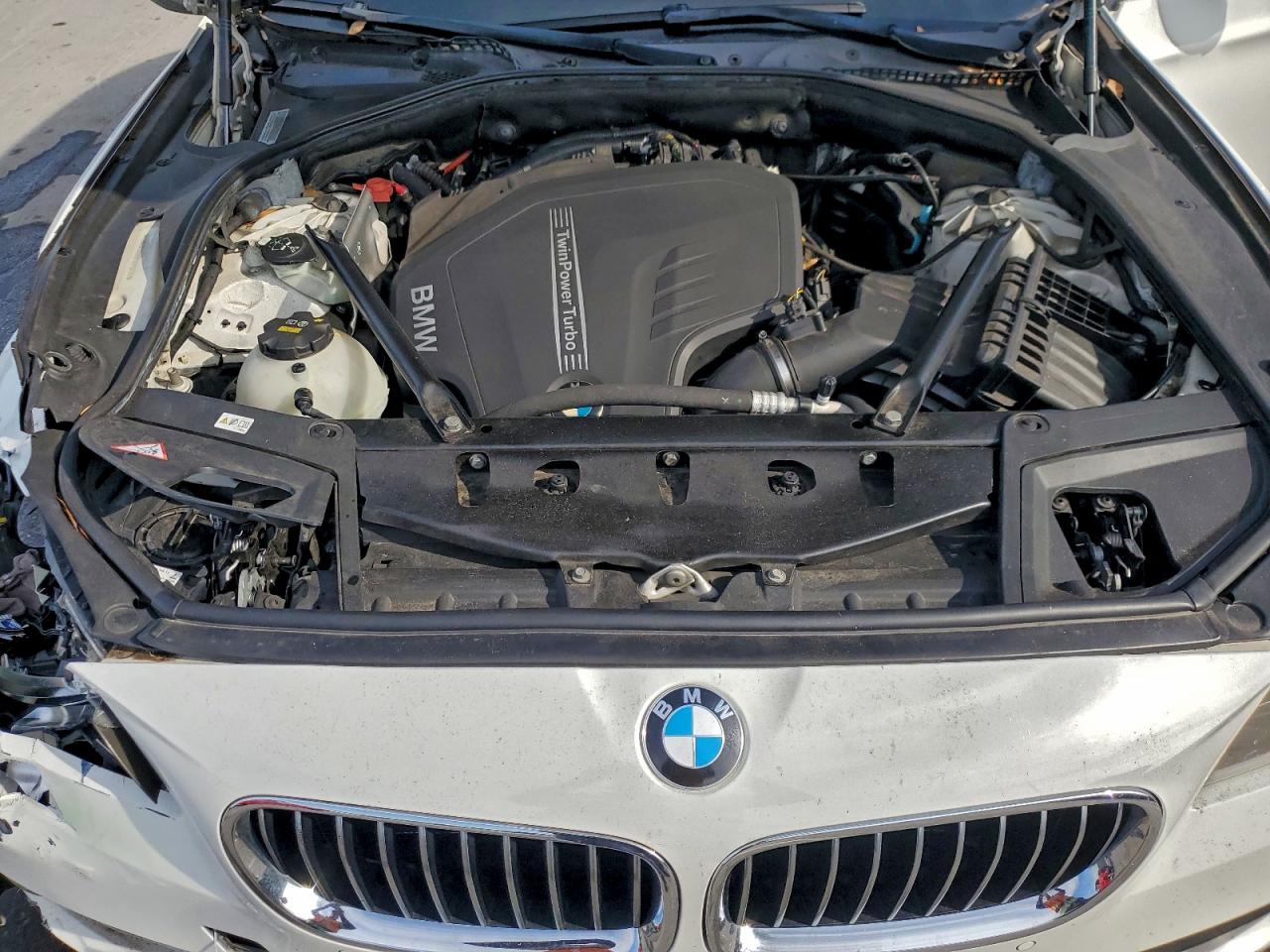 2015 BMW 528 I VIN: WBA5A5C55FD519731 Lot: 95670655