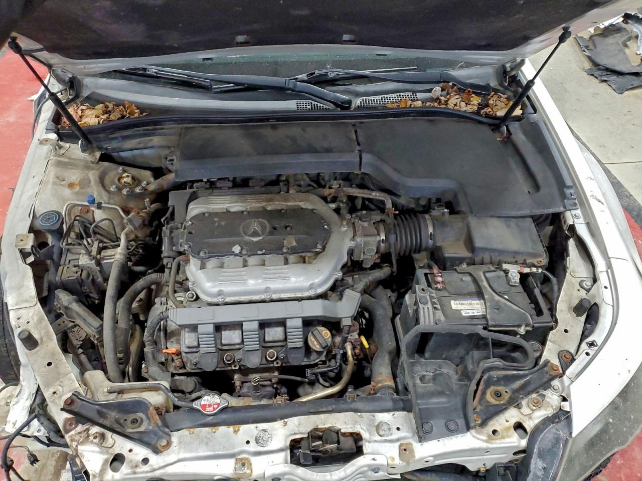 Фото: 19UUA8F24CA009838