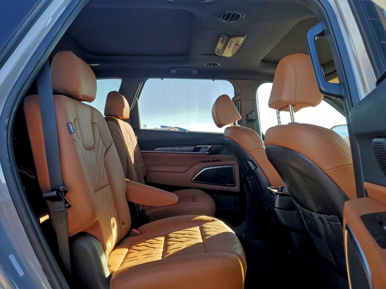 2024 Kia Telluride Sx VIN: 5XYP5DGCXRG545881 Lot: 94427795