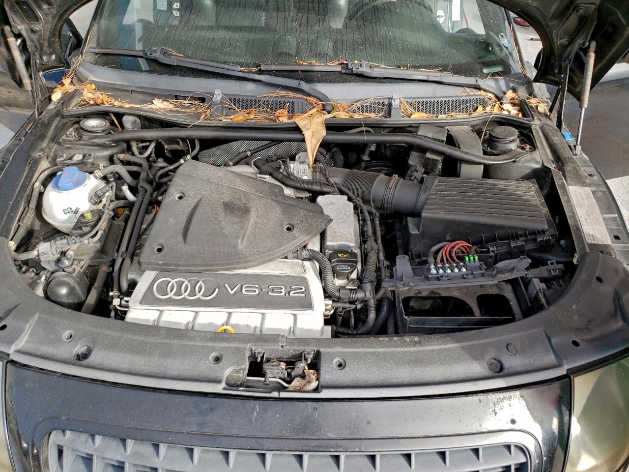 Фото: TRUUD28N061002681